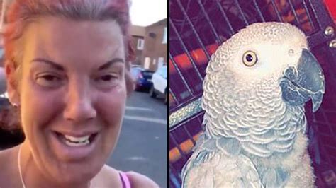 chanel the african grey meme|chanel merseyside video.